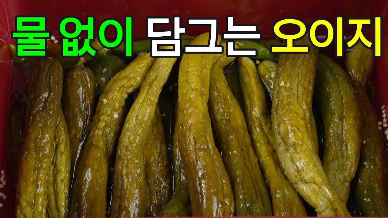 물 없는 오이지: 아삭함이 살아있는 여름 밥도둑! ✔️아삭하고 꼬들꼬들한 물 없는 오이지로 잃어버린 입맛을 되찾아 보세요!