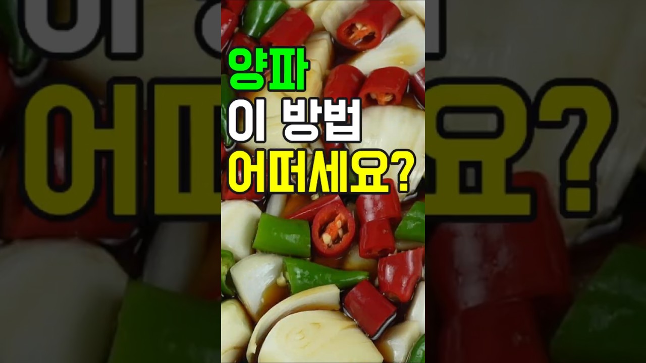 양파장아찌#쇼츠#밑반찬 #간편 요리 # 요리 방법 # 레시피 #양파장아찌