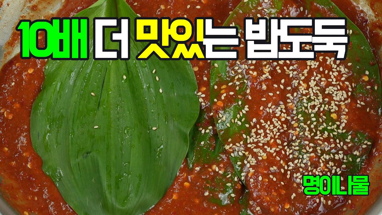 명이나물김치: 향긋한 풍미 가득 명이나물김치 레시피, 밥도둑 명이 김치!