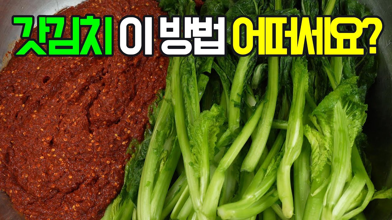 갓김치, 쌉쌀하면서도 시원한 갓 특유의 풍미가 일품인 갓김치✔️이 방법 어떠세요? 이제 이렇게 요리해 보세요
