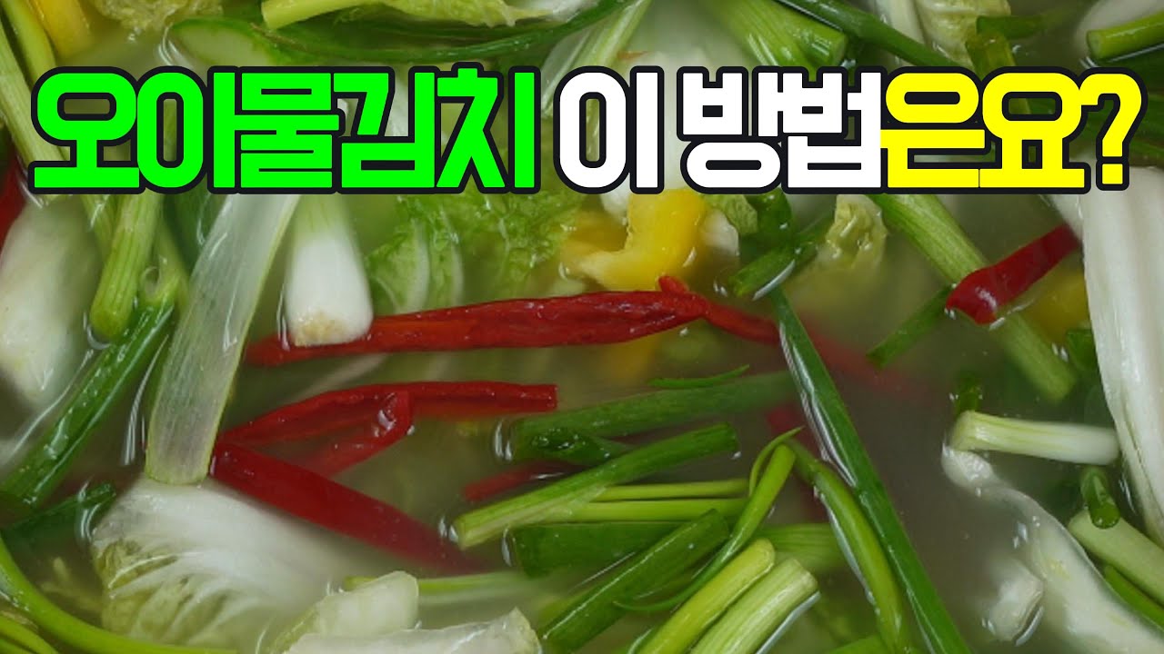 오이물김치, 텁텁함 없이 깔끔하고 시원한 국물✔️ 시원하고 아삭한 오이물김치#오이물김치 #물김치 #오이김치 #여름김치 #간단김치 #쉬운김치 #김치레시피 #반찬 #집#엄마손집밥