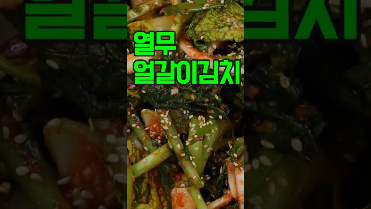 열무얼갈이김치,입맛 돋우는 시원하고 맛있는 열무얼갈이김치 레시피✔️이렇게 요리해 보세요