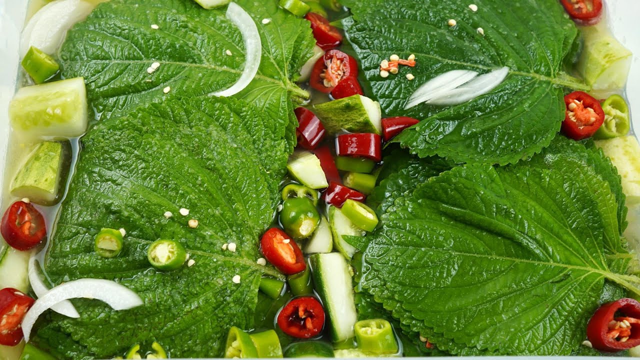 톡 쏘는 아삭함! 깻잎 물김치 1등 요리 레시피 비법 🌿
